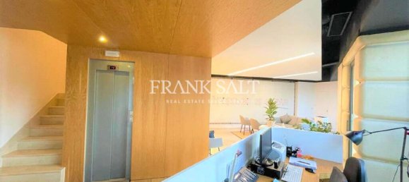 1535m² Office in Pieta, Malta No. 12368 6