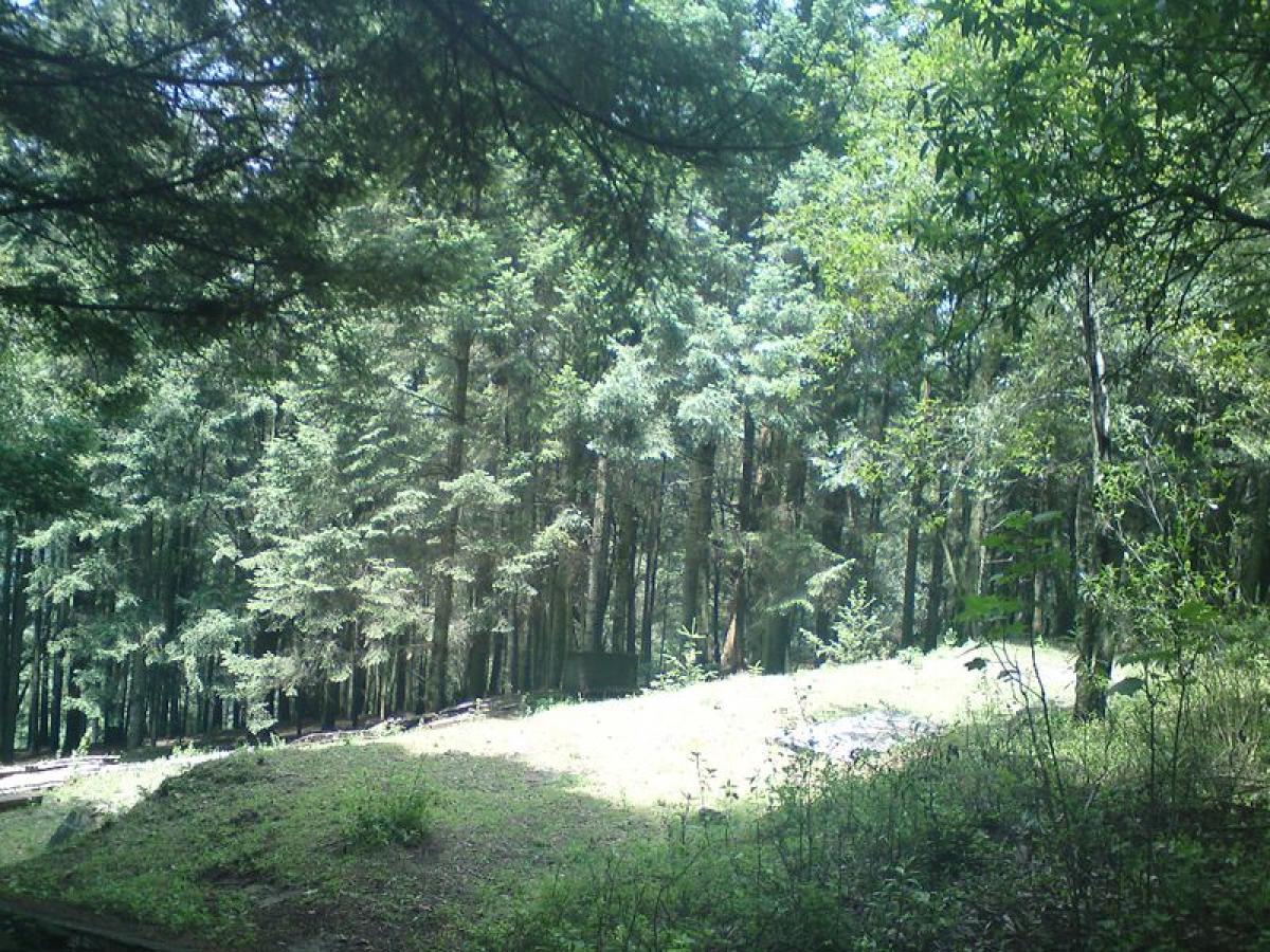  Land in Mexico No. 205940