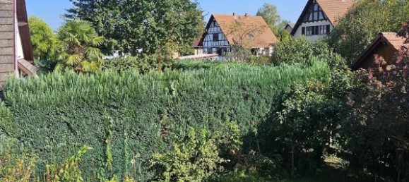 4 bedrooms House in Beinheim, France No. 47755 24