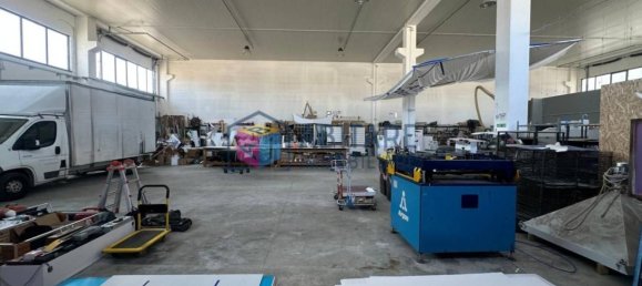 4 rooms Warehouse in Campiglia Marittima, Italy No. 259360 6