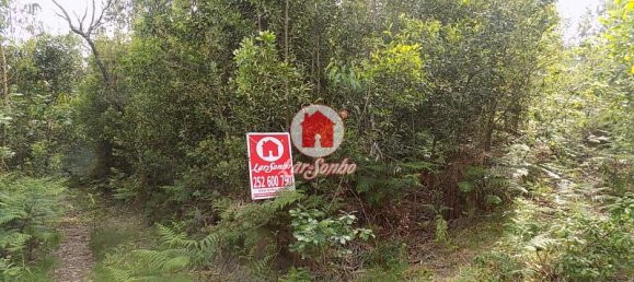 6300m² Land in Vila Nova de Famalicao, Portugal No. 36067 2