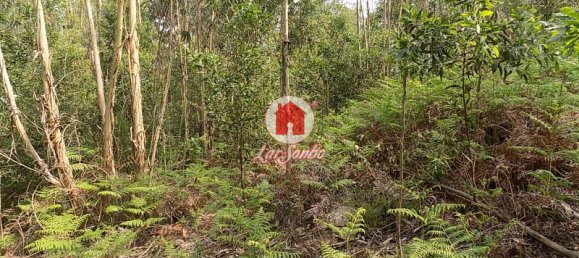 6300m² Land in Vila Nova de Famalicao, Portugal No. 36067 4