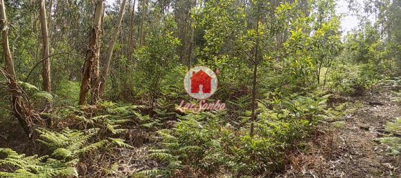 6300m² Land in Vila Nova de Famalicao, Portugal No. 36067 3