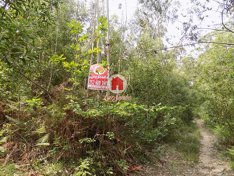 6300m² Land in Vila Nova de Famalicao, Portugal No. 36067