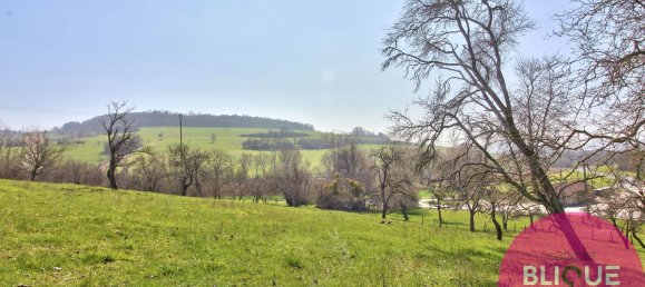 Grundstück in Bouxieres-aux-Chenes, France 1270m², Nr. 92070 6