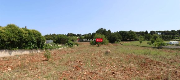  قطعة أرض في Martina Franca, Italy 5500متر مربع رقم 343009 5