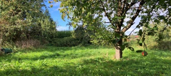 4 غرف نوم منزل في Hameln-Pyrmont, Germany رقم 310639 3