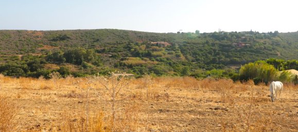 35642m² Land in Manilva, Spain No. 147070 7