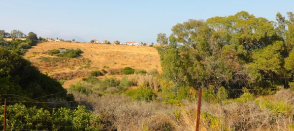 35642m² Land in Manilva, Spain No. 147070 10