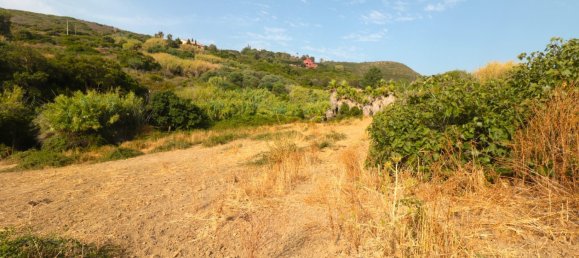 35642m² Land in Manilva, Spain No. 147070 4