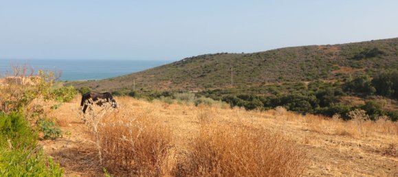 35642m² Land in Manilva, Spain No. 147070 2