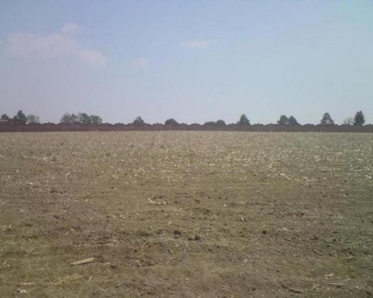  Land in Mexico No. 205419