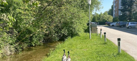 2 bedrooms Apartment in Attnang-Puchheim, Austria No. 183650 18