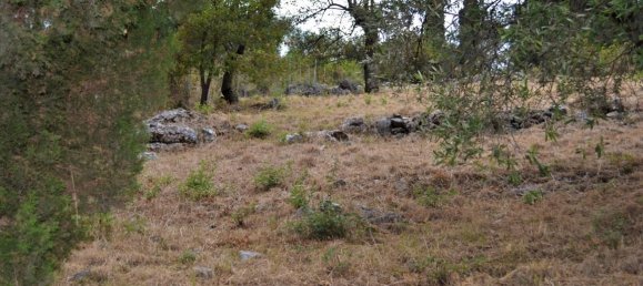 5 غرف نوم Property في Corfu, Greece رقم 4539 26