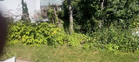 Бунгало с 4 комнатами в Меттман, Германия № 315288 6