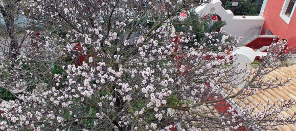 2 bedrooms Commercial property in Corfu, Greece No. 8016 2