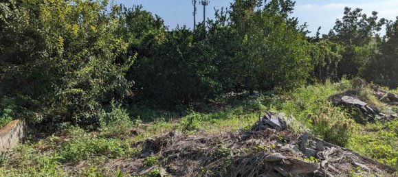 4 rooms House in Aci Catena, Italy No. 160475 13