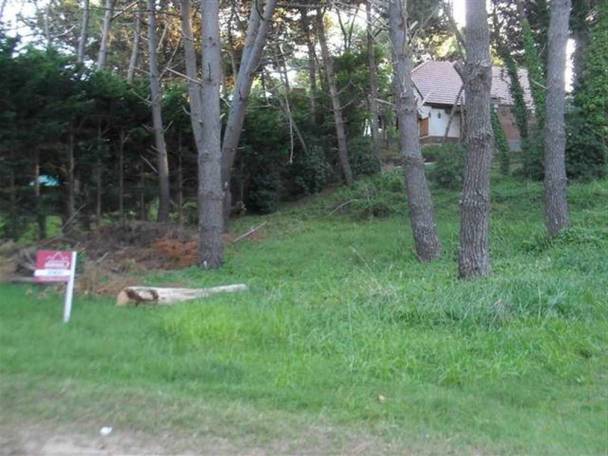  Land in Mar del Plata, Argentina No. 122049