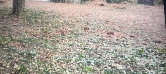  قطعة أرض في Remscheid, Germany رقم 256140 2