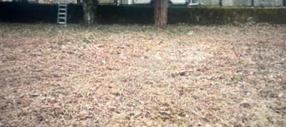  قطعة أرض في Remscheid, Germany رقم 256140 5