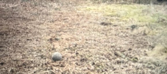  قطعة أرض في Remscheid, Germany رقم 256140 4