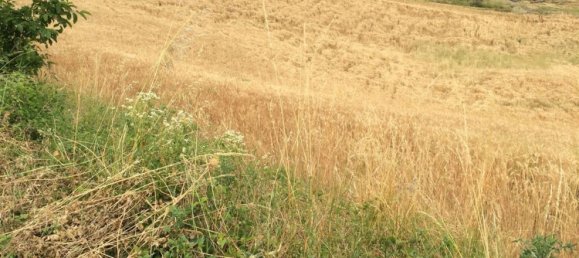 8غرفة منزل في Pellegrino Parmense, Italy رقم 263476 9