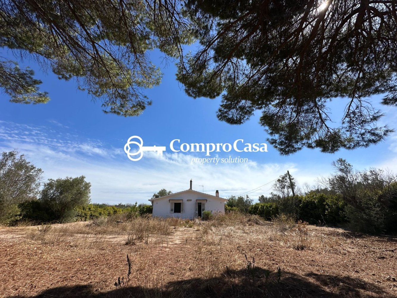 7 chambres Villa à Casarano, Italy No. 339208