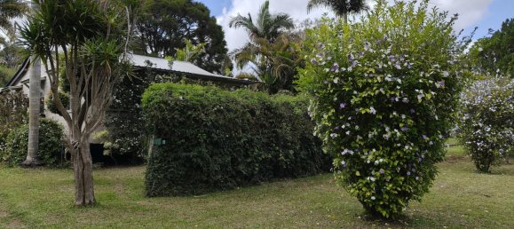 3 Schlafzimmer Haus in Ravenshoe, Australia, Nr. 112 29
