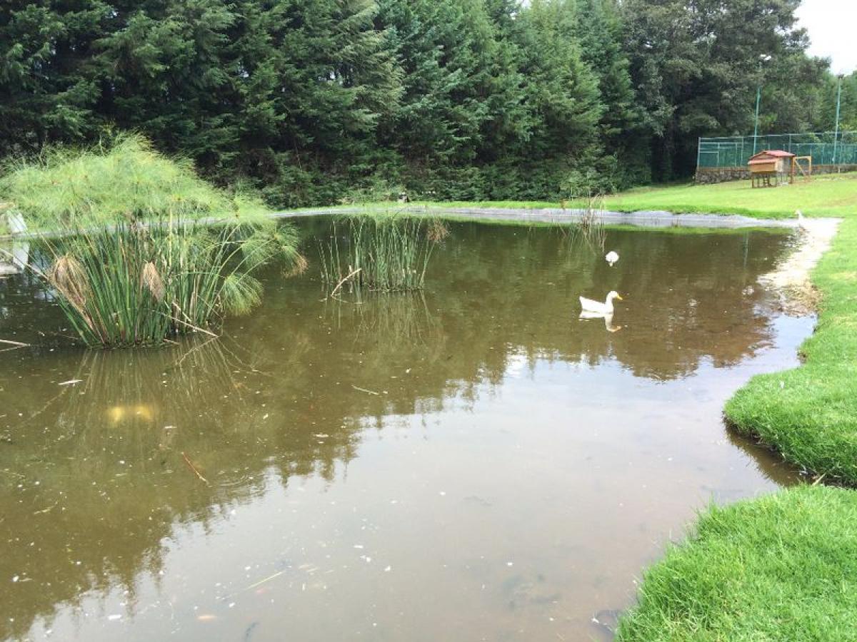 Terrain à Heroica Matamoros, Mexico No. 203862