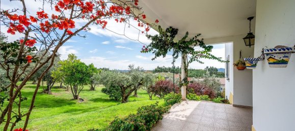 Casa T4 em Olalhas, Portugal N.º 158694 2