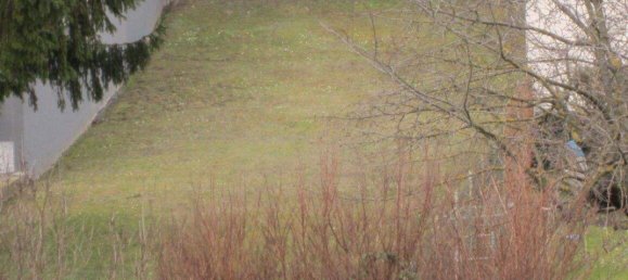 Terreno en Leobendorf, Austria No. 164430 2