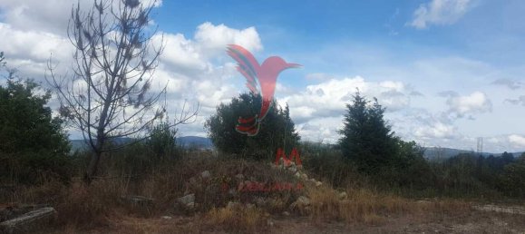 Grundstück in Fafe, Portugal, Nr. 245446 6