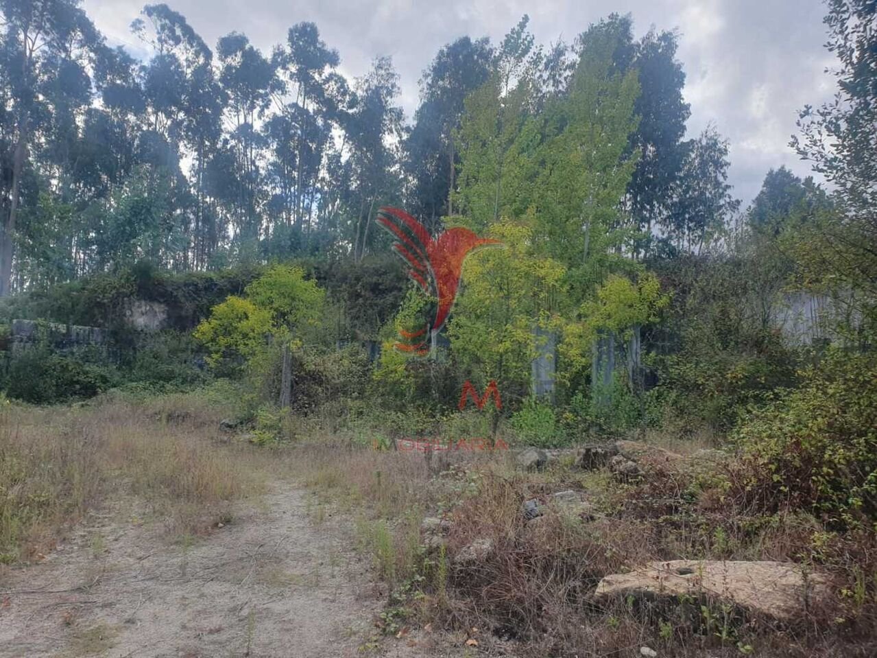  Land in Fafe, Portugal No. 245446