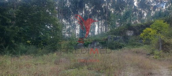 Grundstück in Fafe, Portugal, Nr. 245446 11