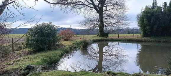 325m² Commercial property in Seglien, France No. 206174 7