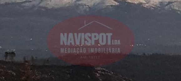 9 bedrooms Hotel in Abrunhosa a Velha, Portugal No. 41401 13