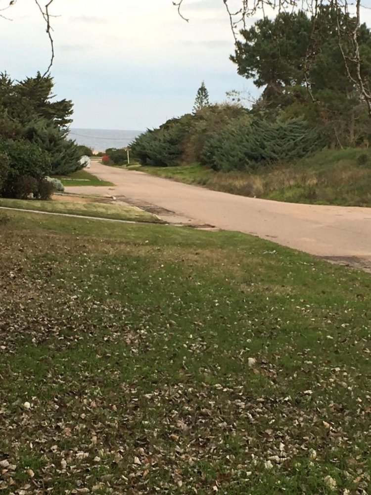 Земельный участок в Мальдонадо, Уругвай № 16029