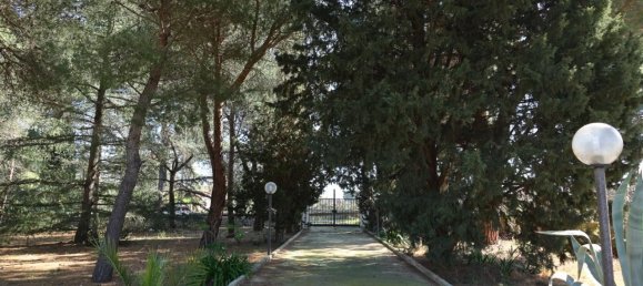 5غرفة فيلا في Polignano a Mare, Italy رقم 39836 3