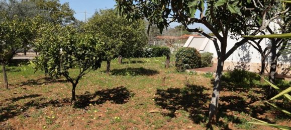 5غرفة فيلا في Polignano a Mare, Italy رقم 39836 27