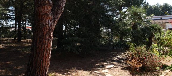 5غرفة فيلا في Polignano a Mare, Italy رقم 39836 22