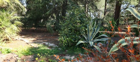 5غرفة فيلا في Polignano a Mare, Italy رقم 39836 23