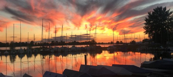 Земельный участок 768м² в Хард, Австрия № 123870 6