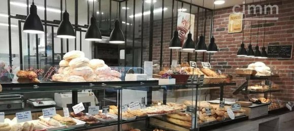 Gewerbliche Immobilie in Saint-Etienne-de-Saint-Geoirs, France, Nr. 197653 3