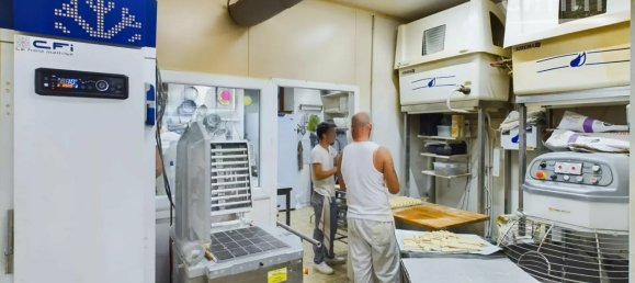 Gewerbliche Immobilie in Saint-Etienne-de-Saint-Geoirs, France, Nr. 197653 6