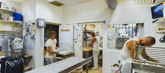 Gewerbliche Immobilie in Saint-Etienne-de-Saint-Geoirs, France, Nr. 197653 5