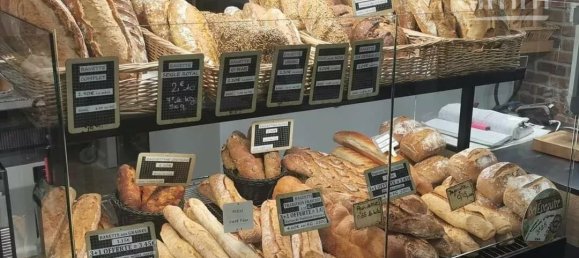 Gewerbliche Immobilie in Saint-Etienne-de-Saint-Geoirs, France, Nr. 197653 4