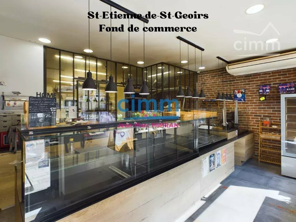 Gewerbliche Immobilie in Saint-Etienne-de-Saint-Geoirs, France, Nr. 197653