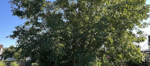 3 غرف نوم تاون هاوس في Amberg, Germany رقم 353127 23