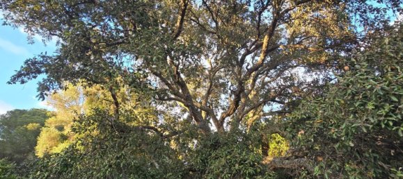 Terreno em Cadiz, Spain 2100 m² N.º 143258 38