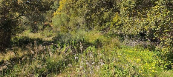 Terreno em Cadiz, Spain 2100 m² N.º 143258 28